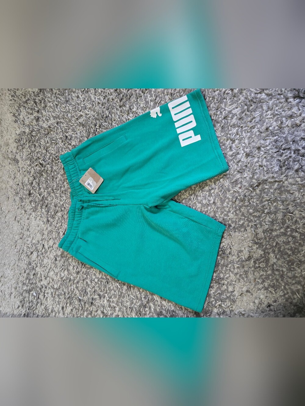 PUMA Turquoise Sweat Shorts – Men’s Casual Athletic Fit